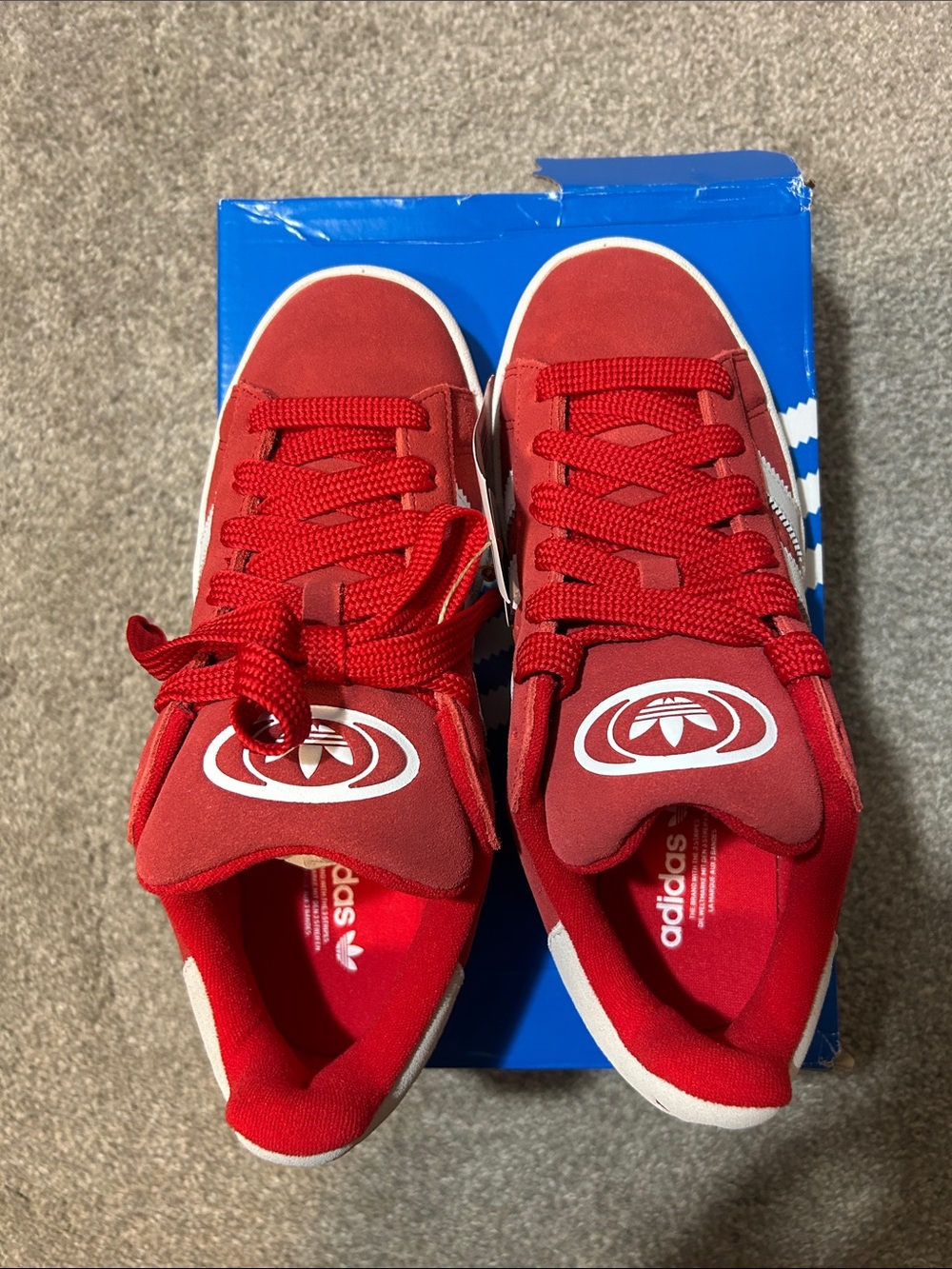 Adidas Campus 00s Scarlet Red and White Suede Sneakers - Picture 6 of 8
